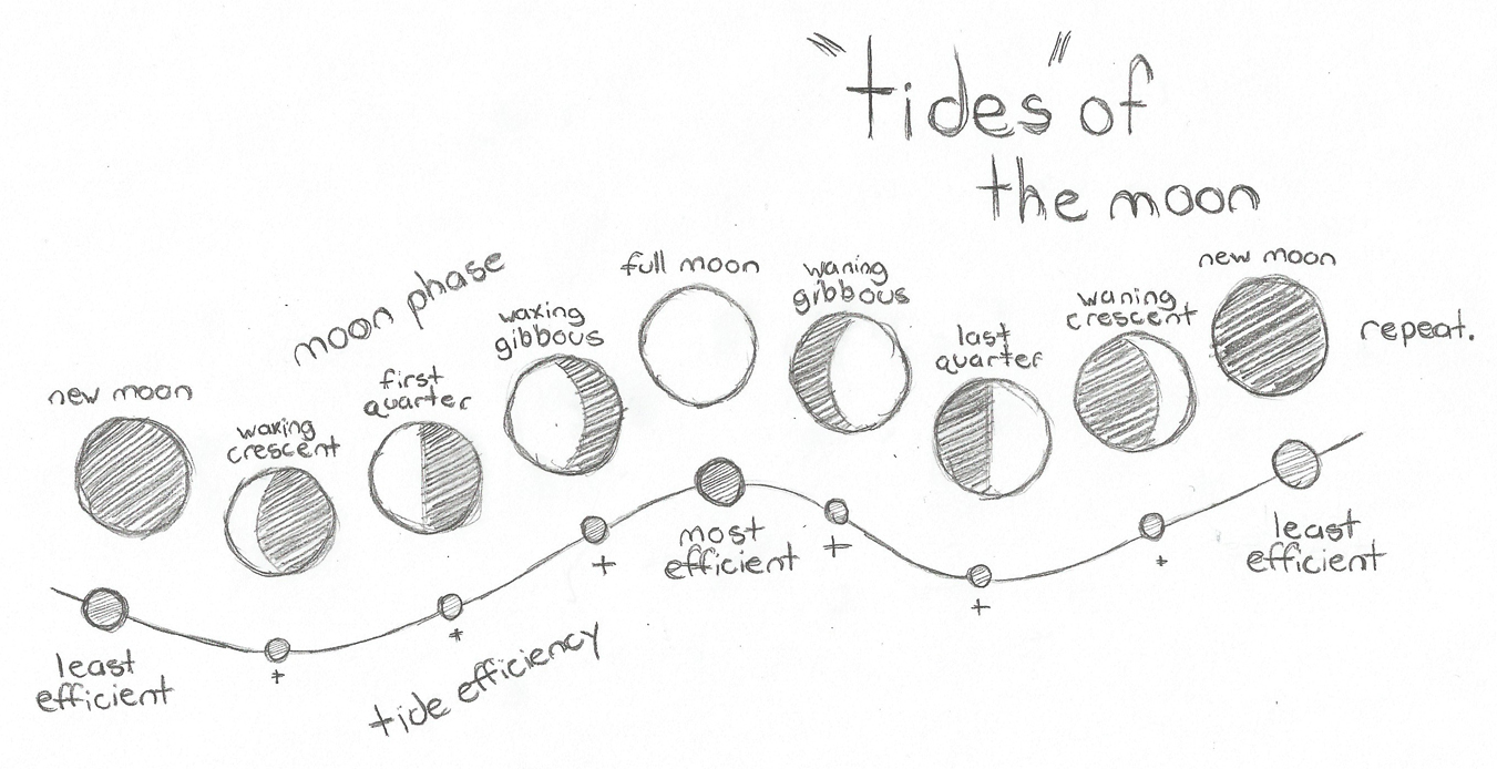 Moon And Tide Chart